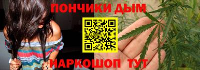 шишки Будённовск