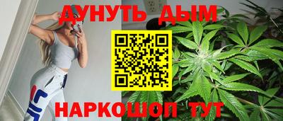 шишки Будённовск