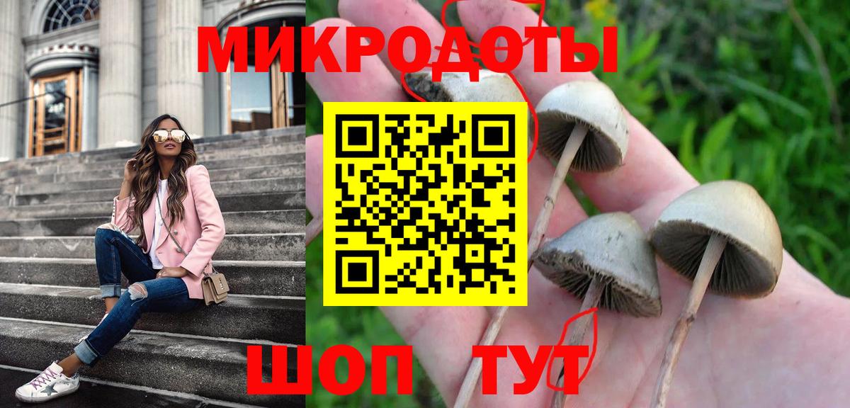 Галлюциногенные грибы мухоморы Иркутск
